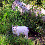 Img_2086_card