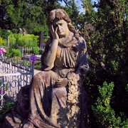 Img_1736_card