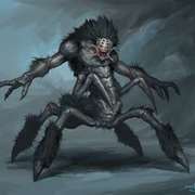 Spider_card