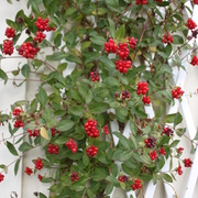 Img_8606_card