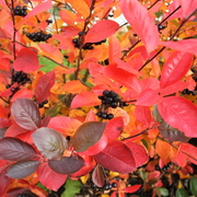 Img_8604_card