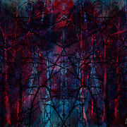 Rainforest_card