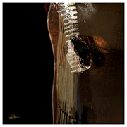 Totemic_night_card