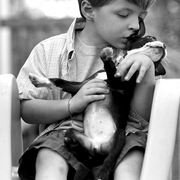Bwdemetrius_and_puppy_1211_card