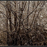 ______3067_card