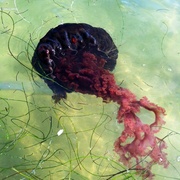 Photo-1_card