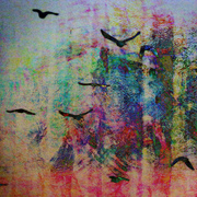 Flightsmall_card