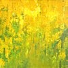 Golden_rain-laburnum_150x150_3500pix600rozjaśniony_thumb