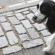 Img_1522_card