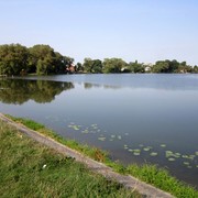 Zbazhlake_card