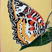 Butterfly_card