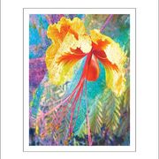 Mrb10_card