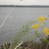 100_0676_thumb
