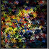 Starlight_web_thumb