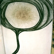 3_card