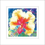 Mrb12_card
