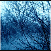 ______3071_card
