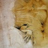 Dscf9888_thumb