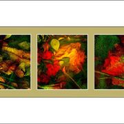 Fm2_card
