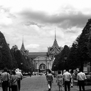 Photo4_card