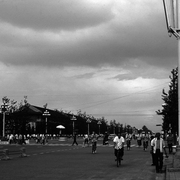 Num_riser0196_card