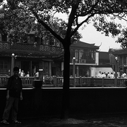 Num_riser0191_card