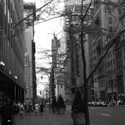 Photo7_card
