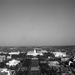 Num_riser0009_square