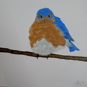 012_card
