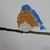 012_tiny_square