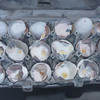 Eggs_thumb