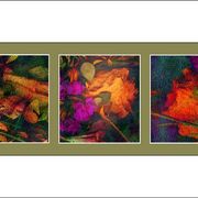 Fm4_card
