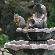Img_9394a_card
