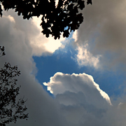 Img_9481a_card