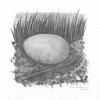 Image_thumb