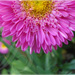 2012_dsc02974_square