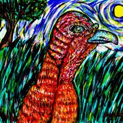 Wild_turkey_in_a_field_card