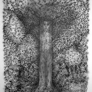 Mother-nature_card