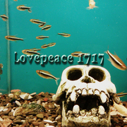 Imag0612_-_______-_______card