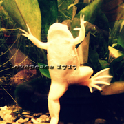 Imag0834_-_______card