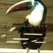 Imag1273_card