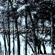 Sany0176_card
