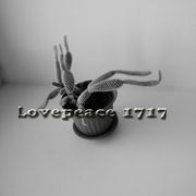 Sany0283_card