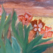Sam_6767_card