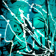 Teal-fever_card