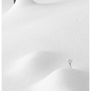 Ma_20120412_033_card