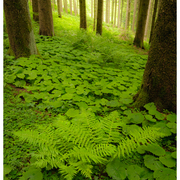 Ma_20120610_028_card