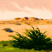 Dunes_4_card