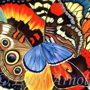 Wings-of-california-lg_card