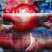 Y2012_card